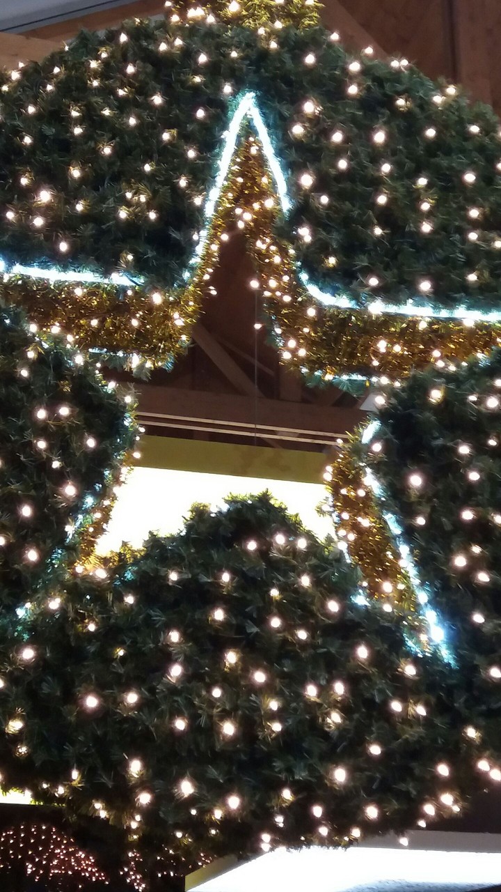 estrela