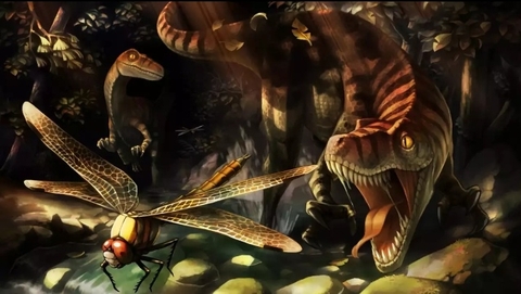 tiger color raptors hunting