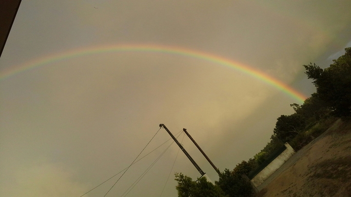 Rainbow 