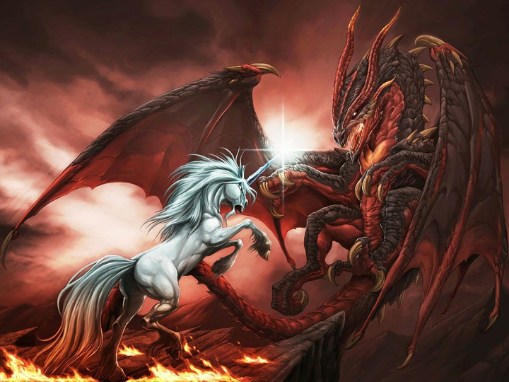 Fight