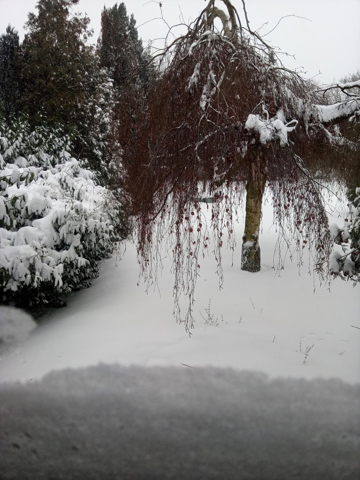 snow