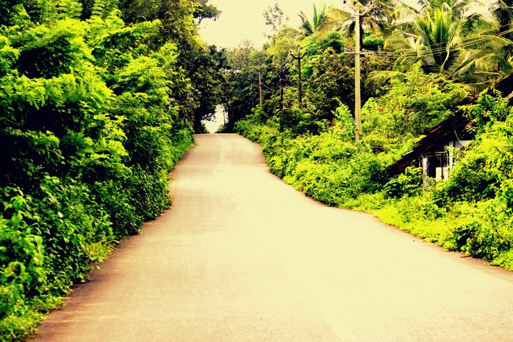 Nature