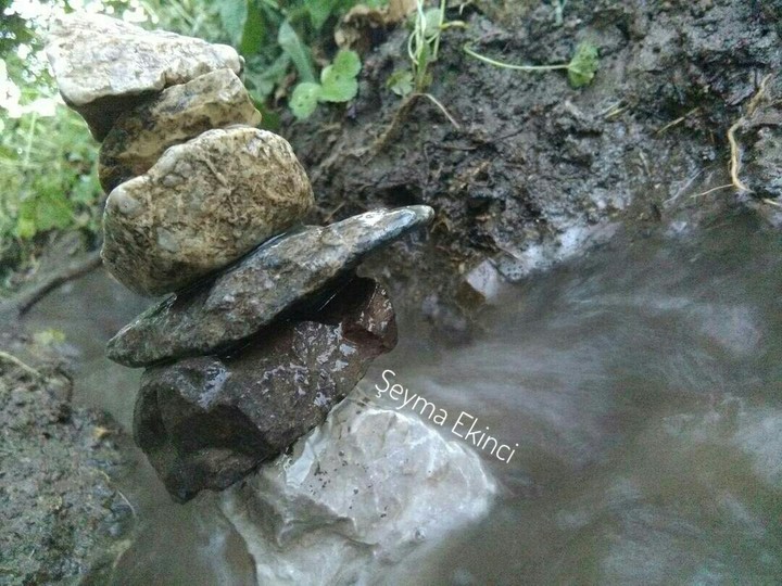 Natürlich, natural, doğal.