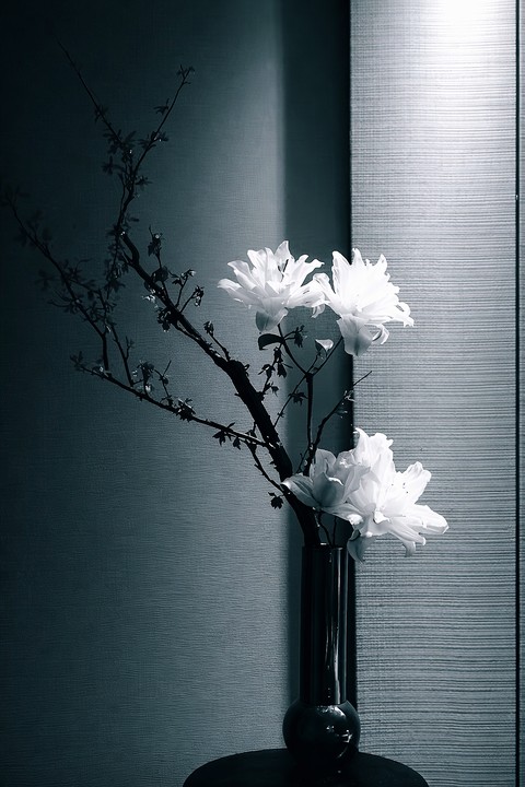 sfondi twig, flowerpot