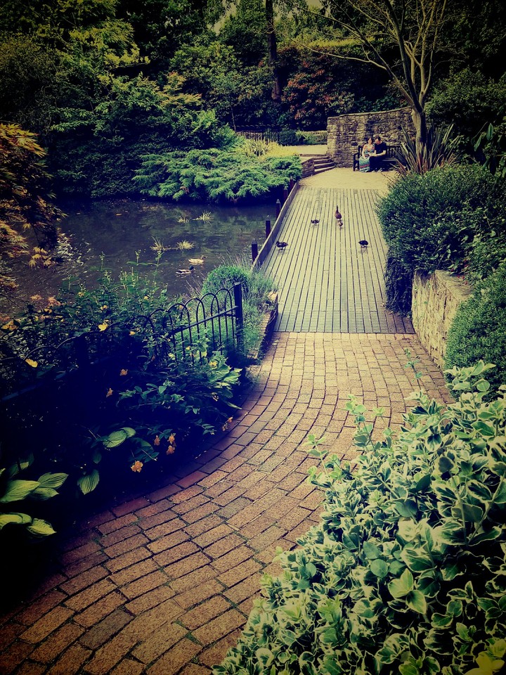 Nature Life