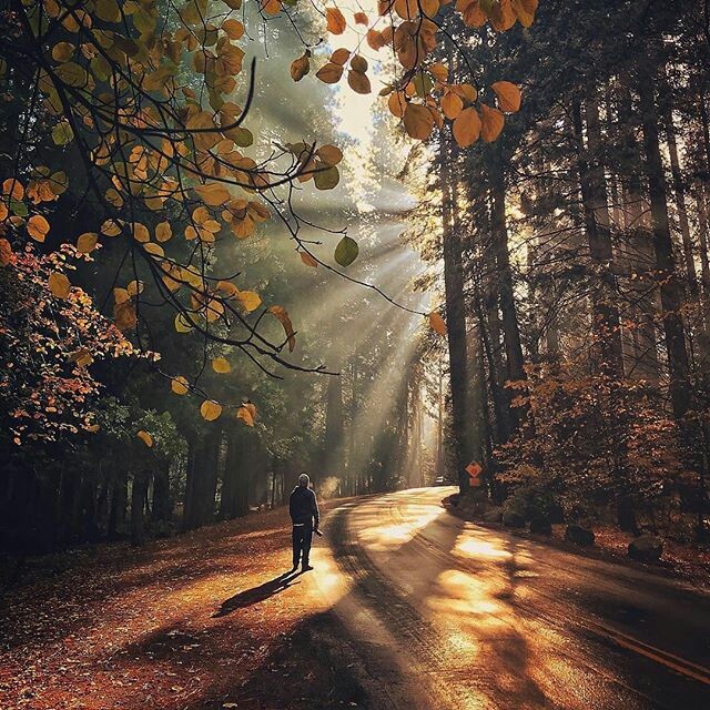 NATURE