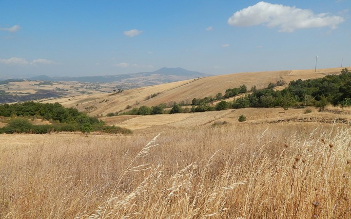 Lucania