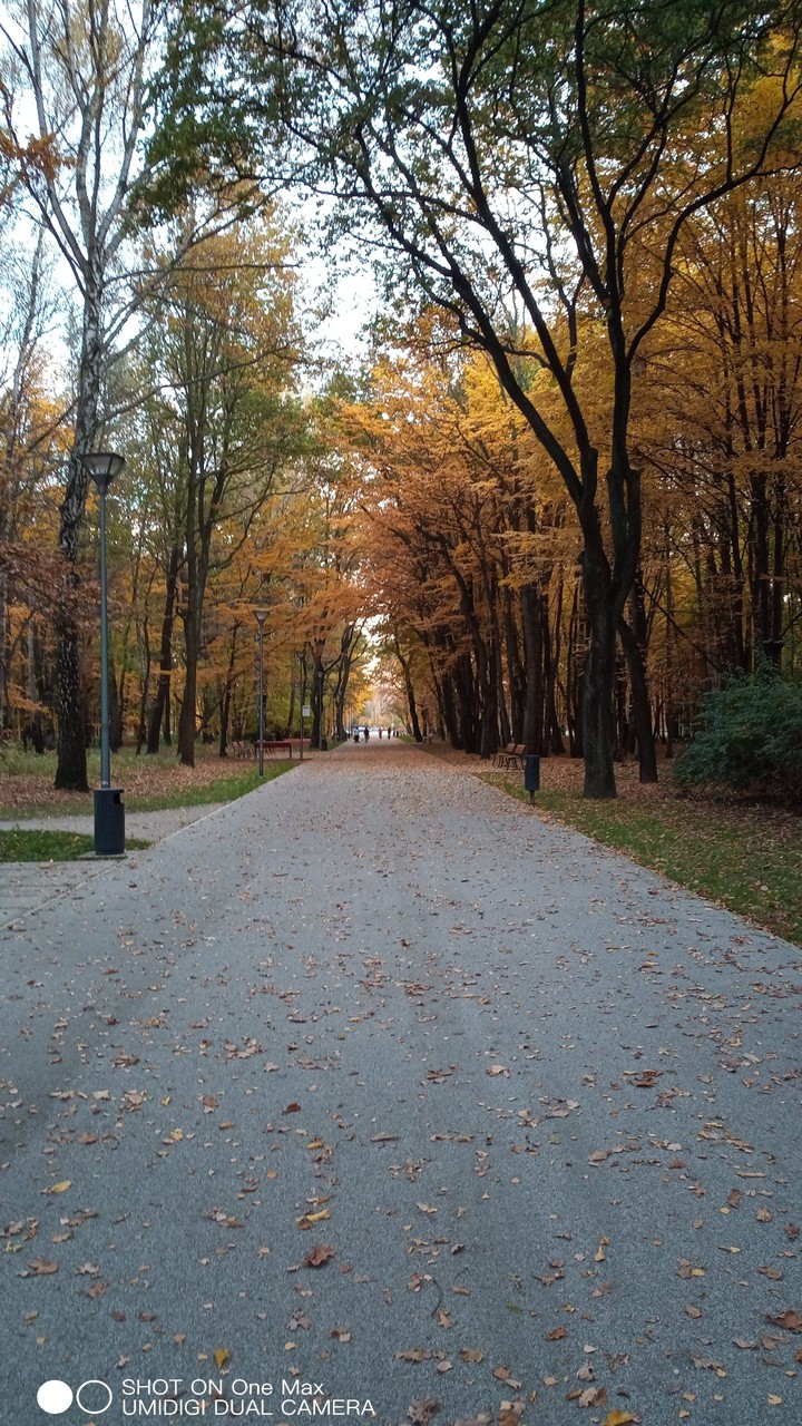 Autumn/Jesień