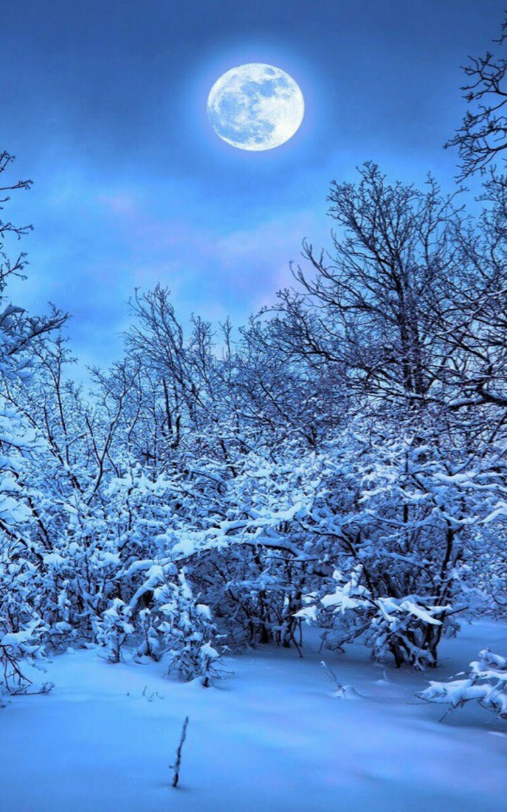 winter...snow...moon