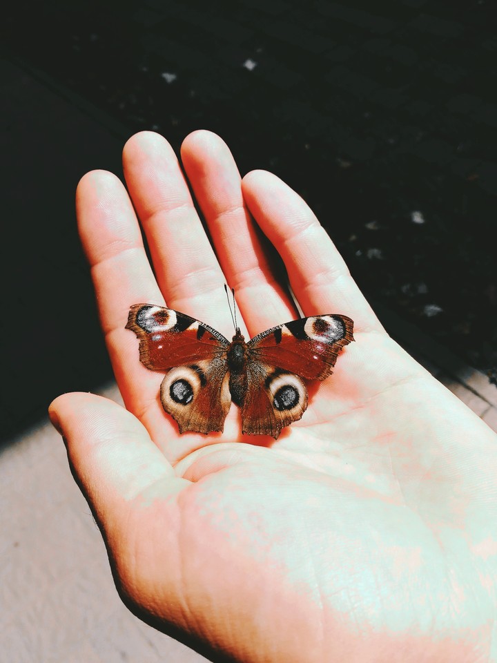 Dream in youre hand.