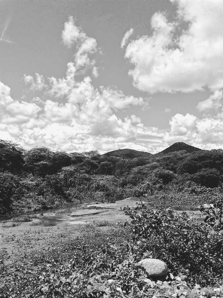 monochrome