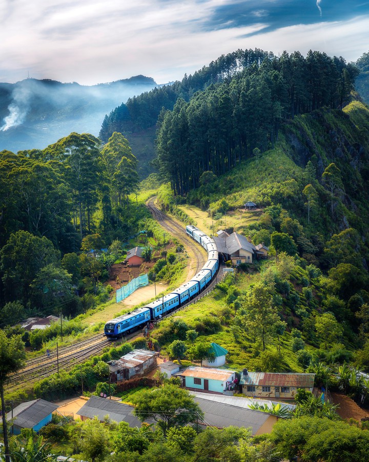 Nature with train