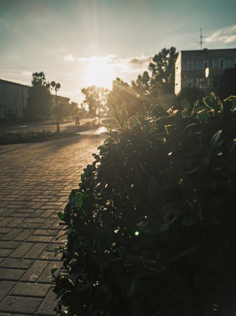 sun