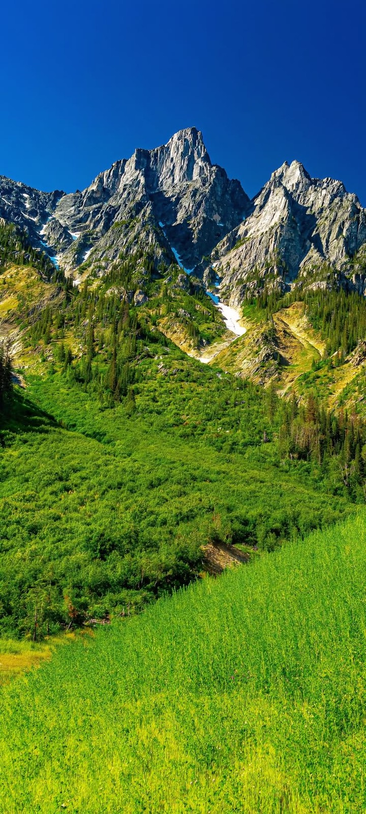 sfondi daytime, Wilderness