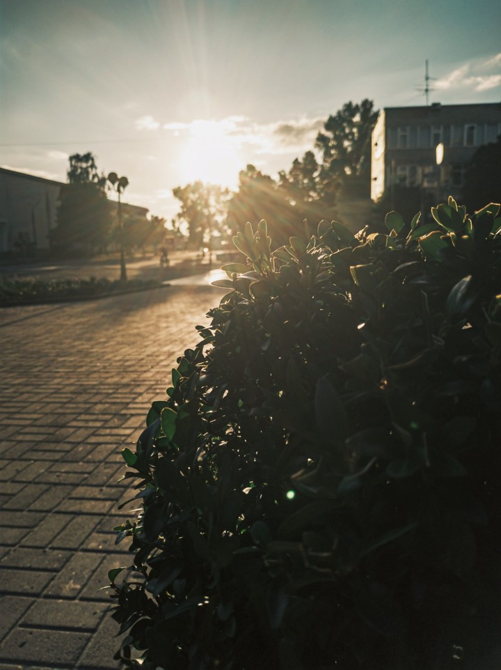 sun