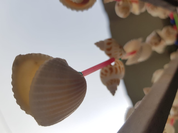 shell