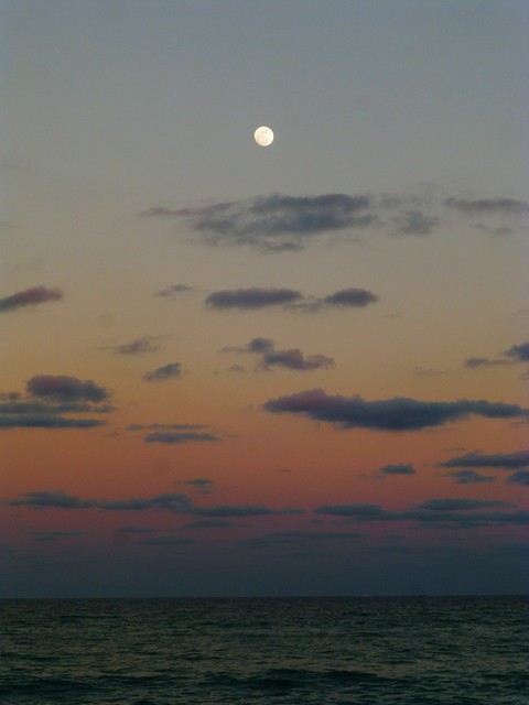 Beach sunset