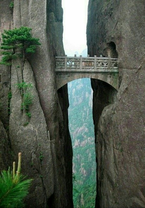 arch, forest háttérképek