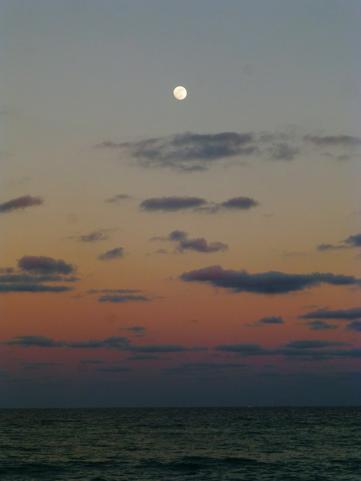 Beach sunset