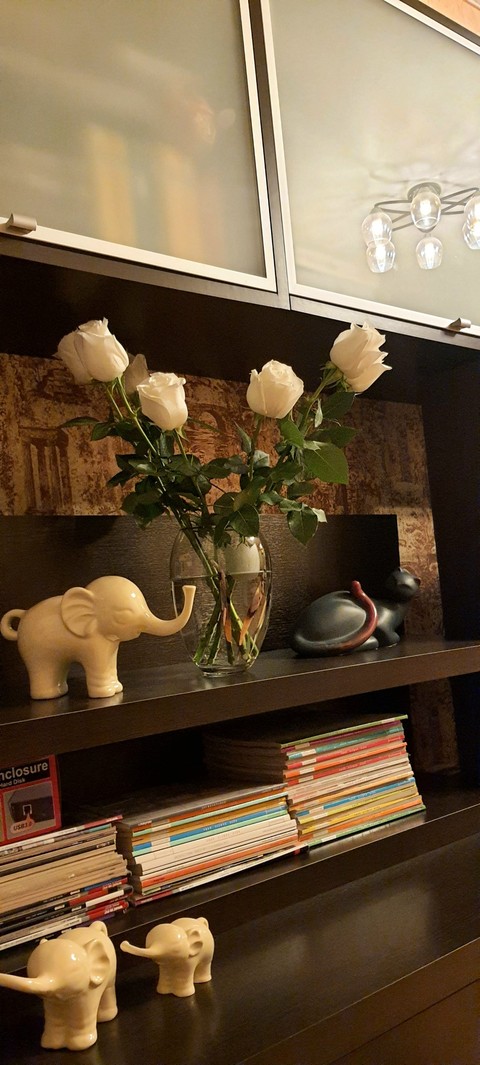 רקעים shelving, lighting