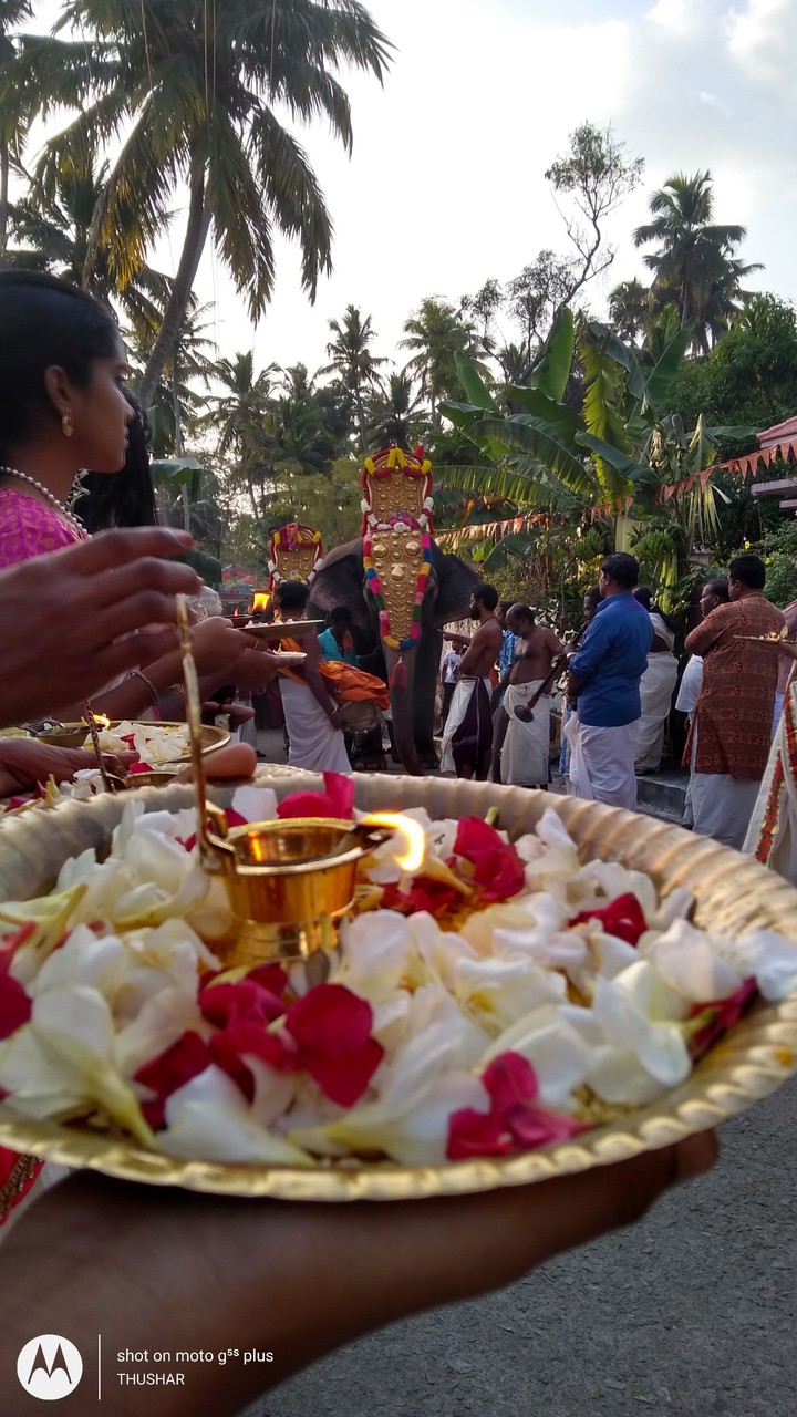 Temple festival
