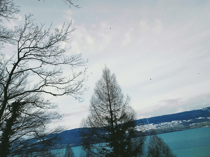 look in the sky .