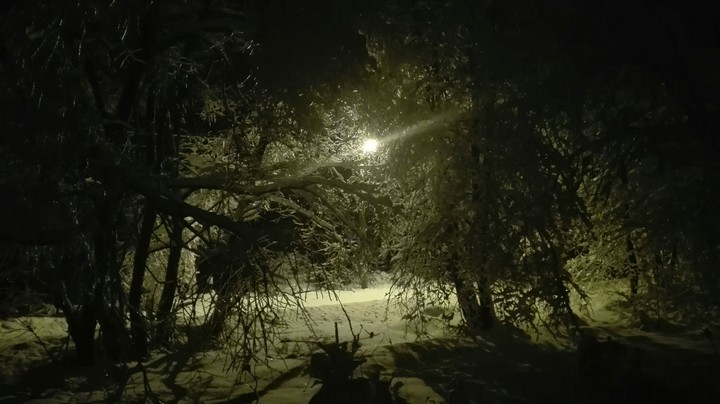 winter