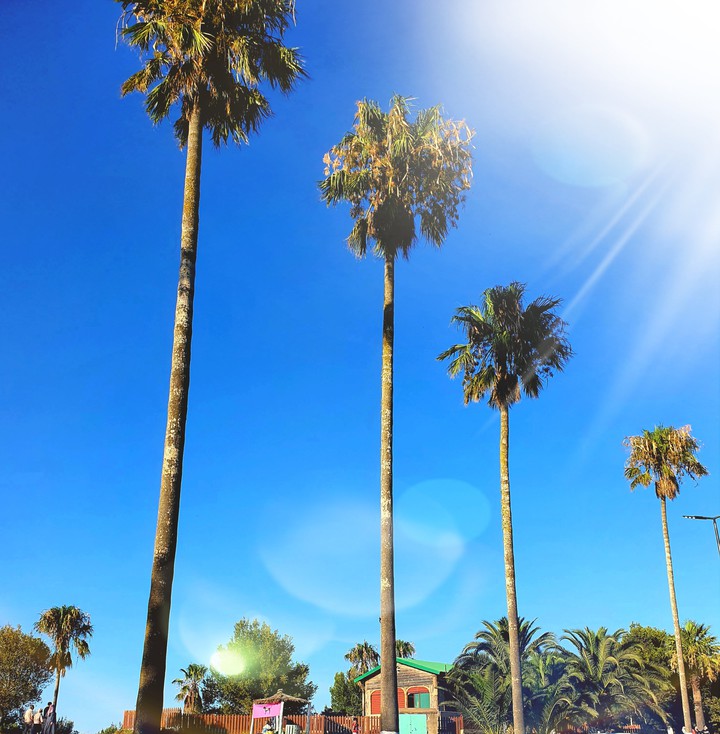 Los Angeles