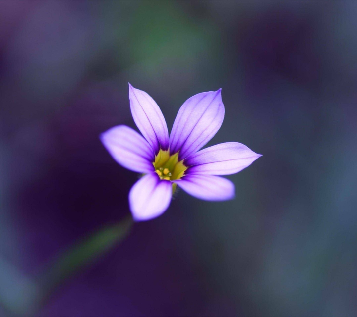 simple yet pretty