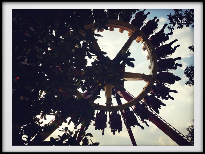 Rides like Life