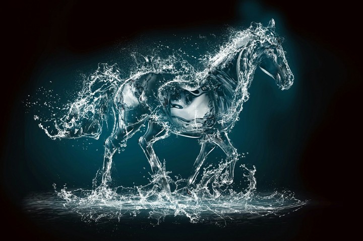 horse