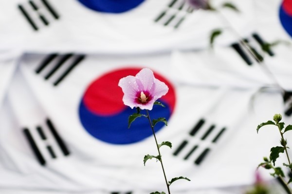무궁화 태극기