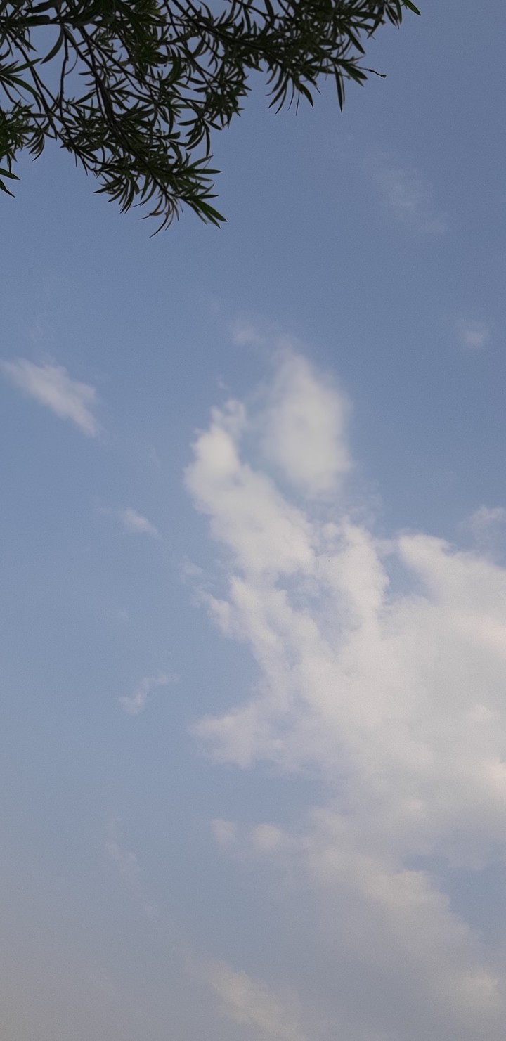 sky