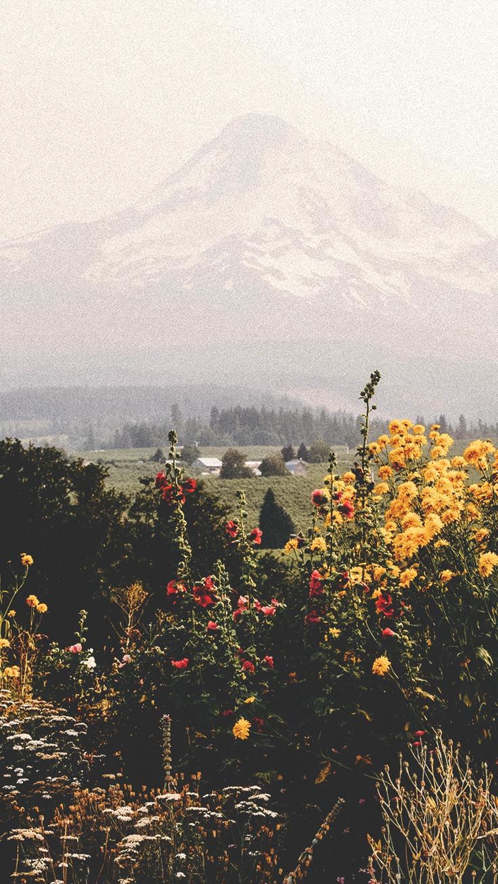 Back to Nature