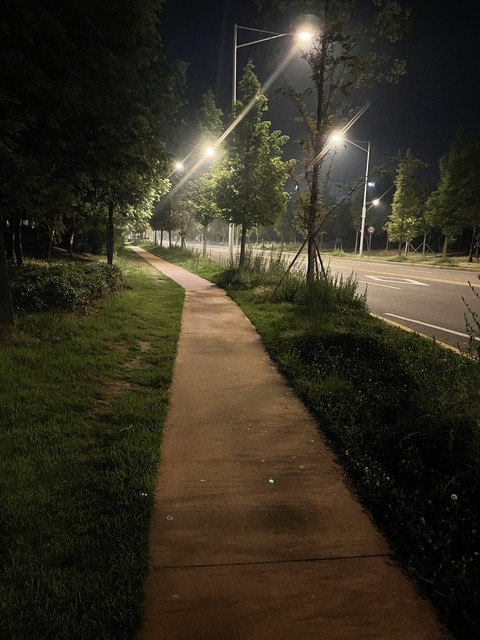 тапети branch, asphalt