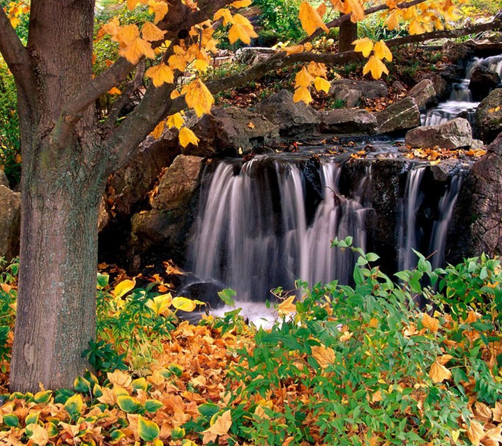 natural and wonderful