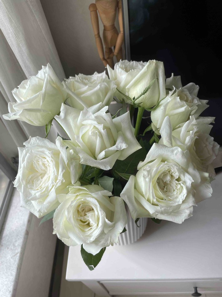 roses