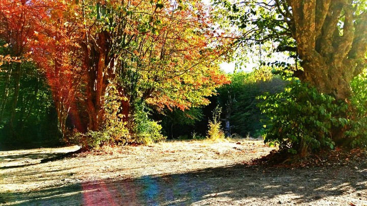 Alangdarreh Park gorgan