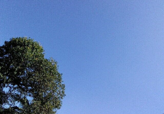 Blue Sky