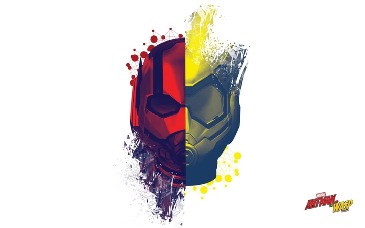 Antman and the wasp