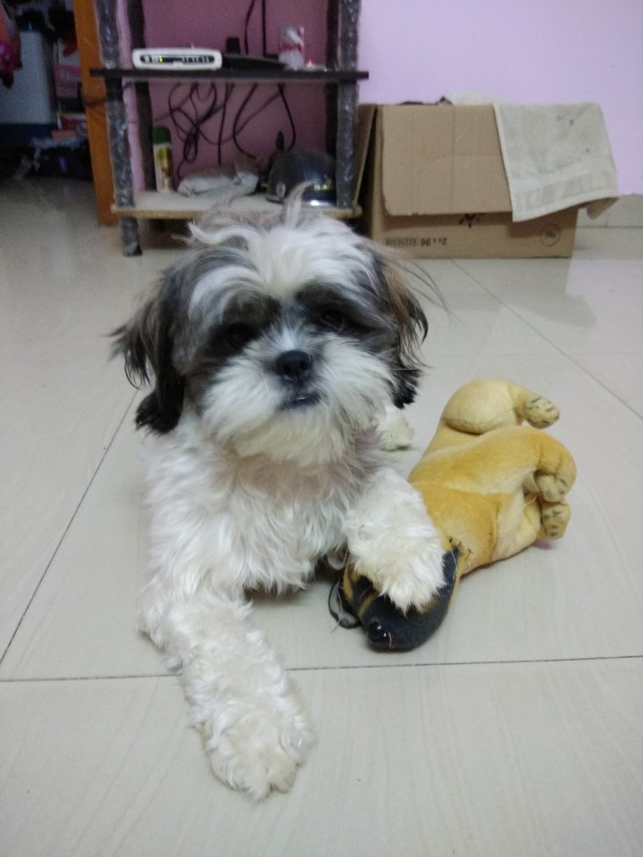 ma baby