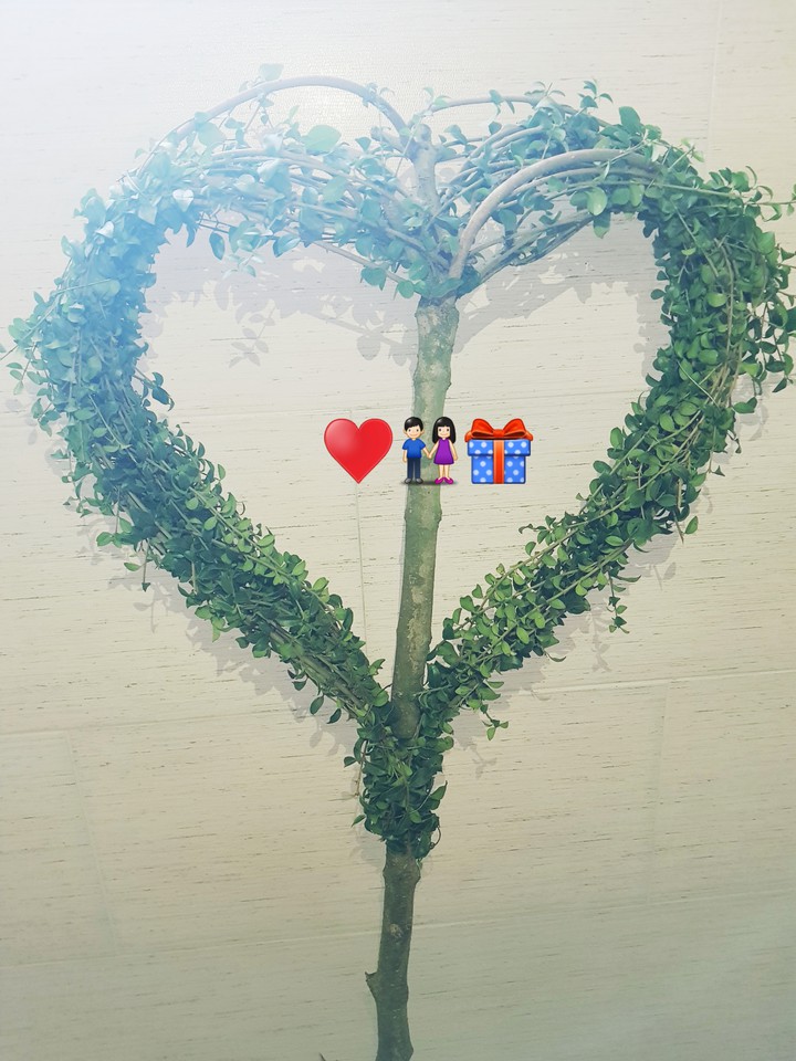 درخت عشق...♡♡♡
