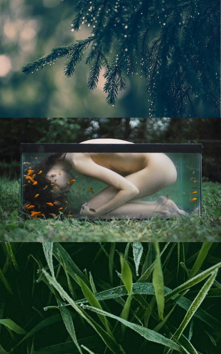 green body