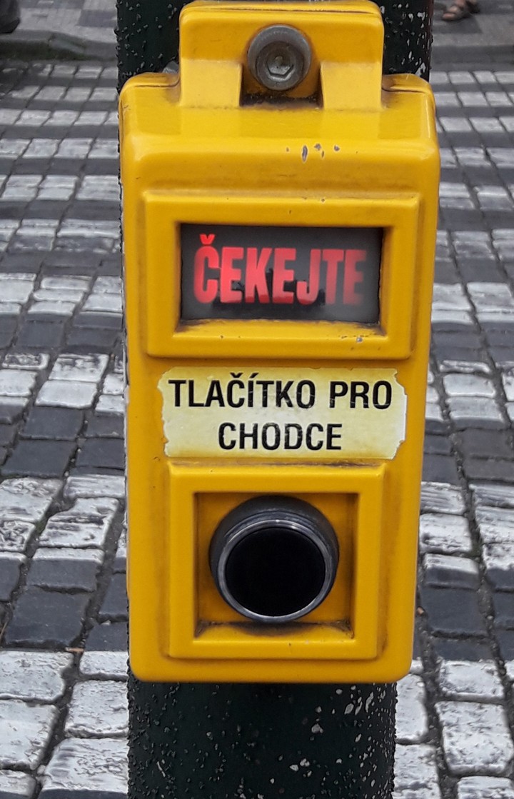 cekejte