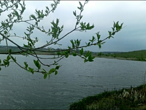 lake