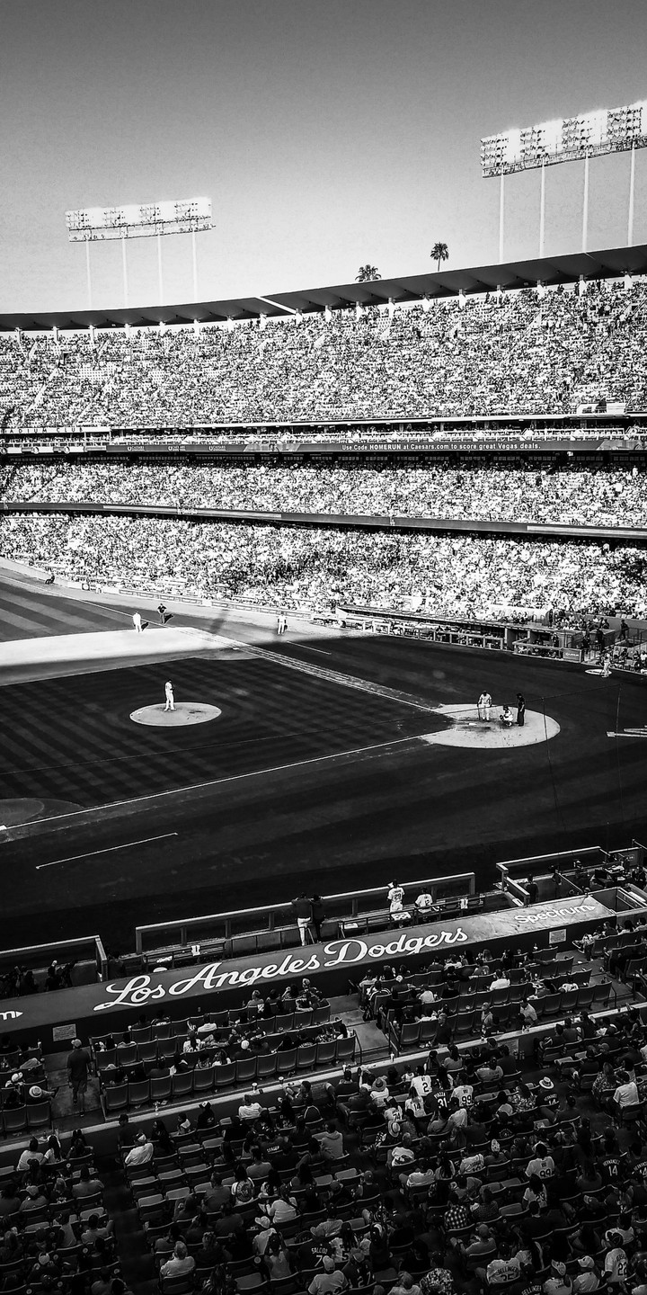 go Dodgers!