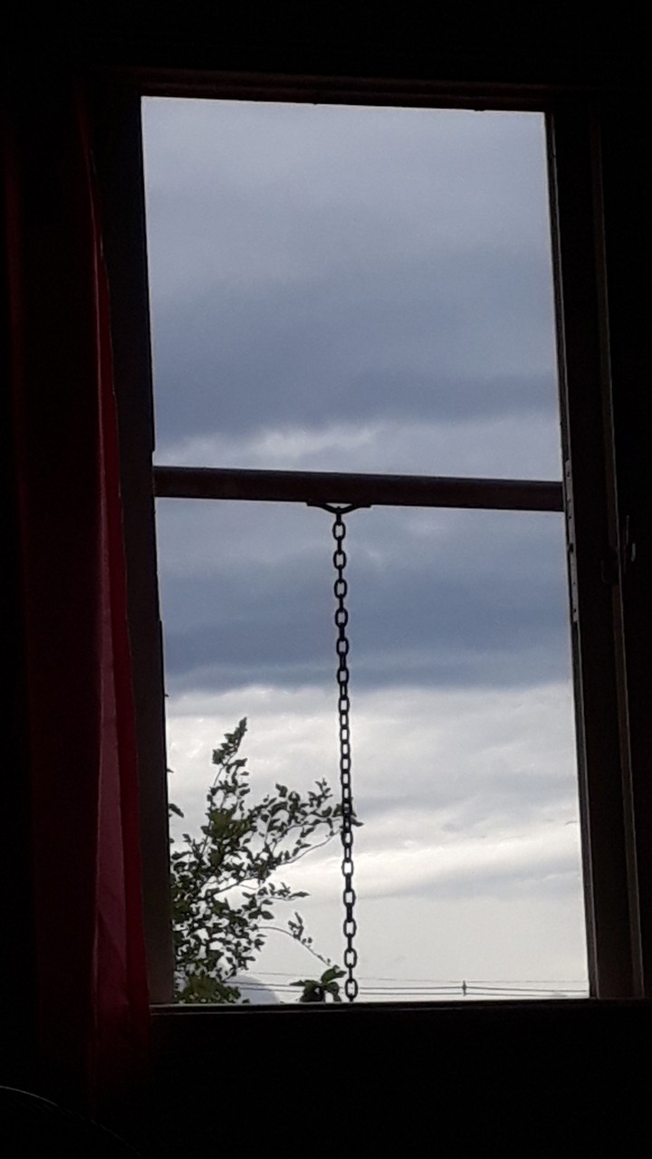 the view from my window