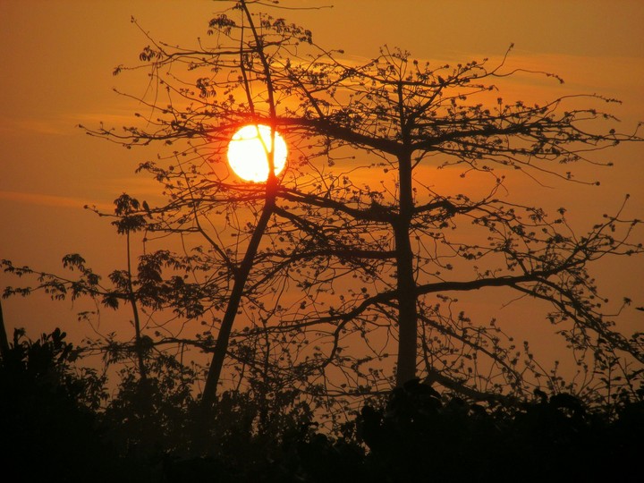 Sunrise