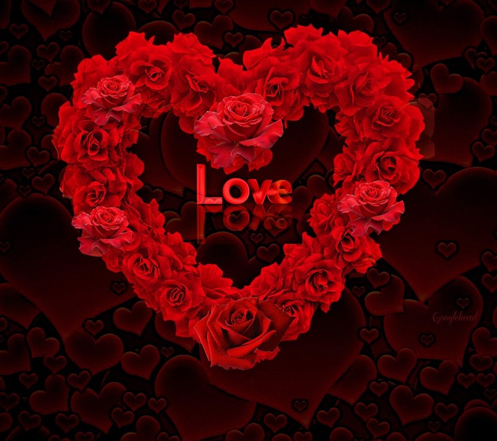 love