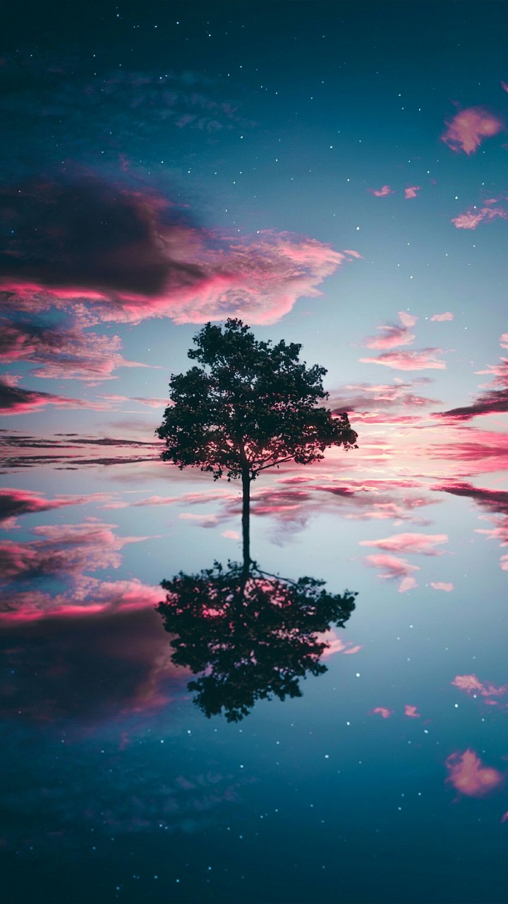 cloudy tree